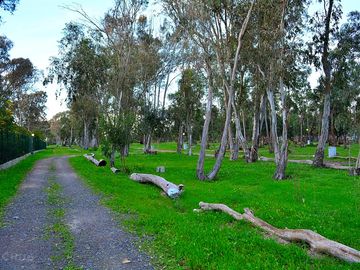 Camping area 1