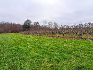View of the camping field