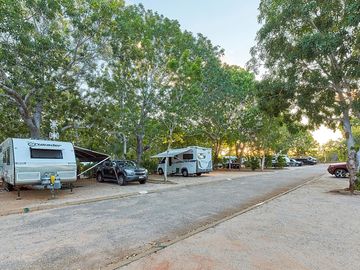 Tree-shaded caravan bays