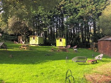 Around the site