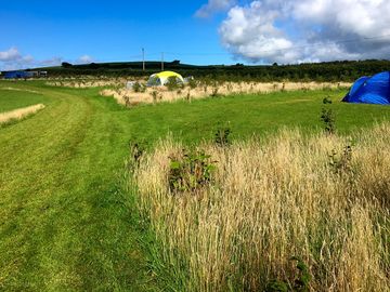 Camping pitches