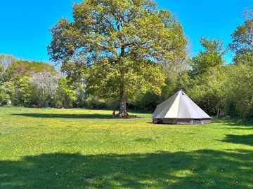New Bell in the meadow