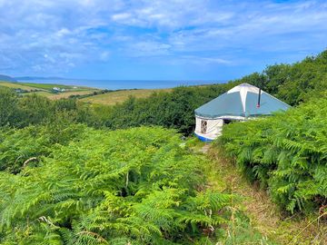The yurt we staying in, this view walking down to it