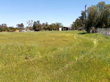 View from the entry trail into the back pasture