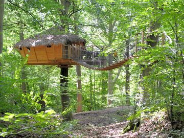 Outside Canyon treehouse