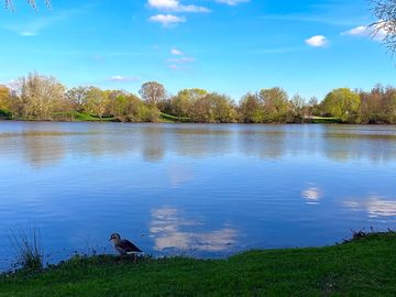 Lake views
