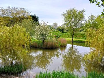 One of our fishing ponds