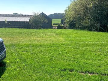 Grassy stretch