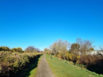 Dog walk loved by dogs and owners