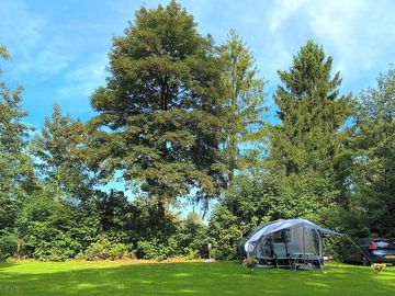 Pitches with trees overhead
