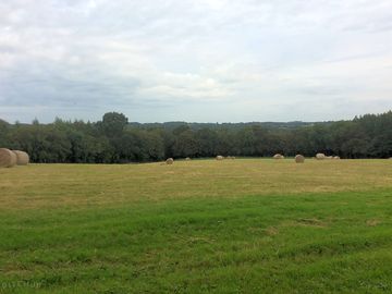 View from the salehurst bridleway