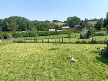 Rural views