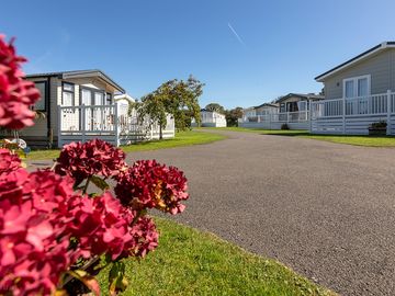 Generously spaced caravans for hire, all with decking.