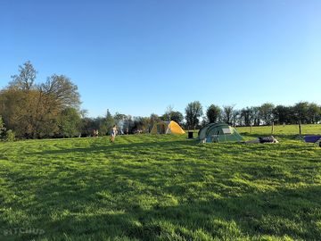 Grass pitches