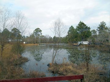 Relax by the pond