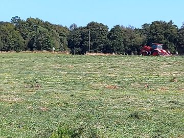 The lower paddock being cut for sillage