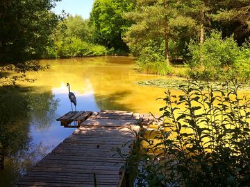 Deck for fishing