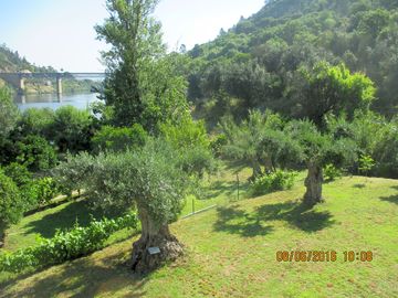 Relax and admire the nature overlooking the river Tejo