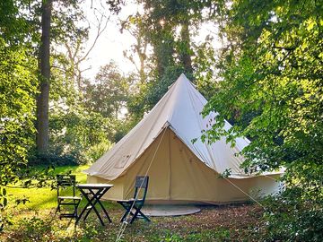 Bell tent in the woods
