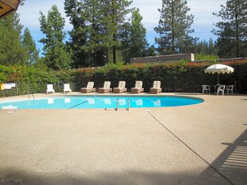 Swimming pool with loungers