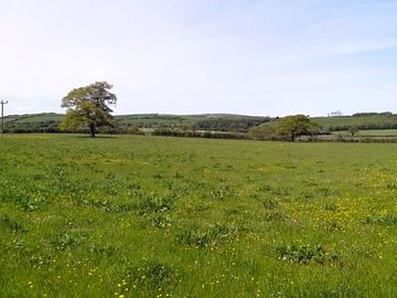 6 acres of space to pick a pitch and pitch up (added by manager 11 Jun 2021)