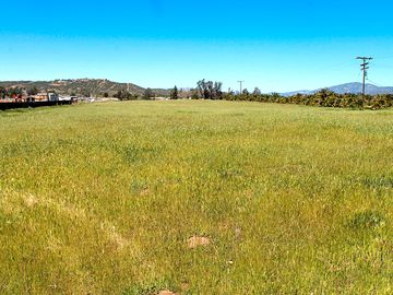 Back pasture in the springtime