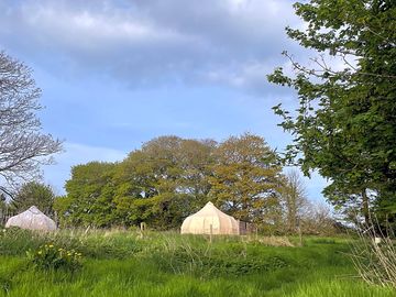 Tents in a private field