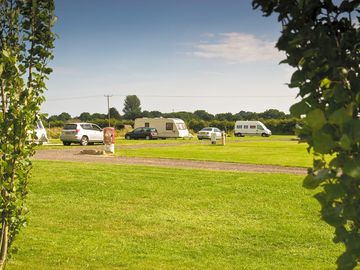 Through the park's trees on a sunny day