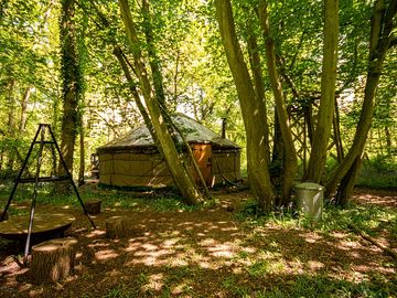 Yurt through the trees (added by manager 03 Aug 2022)