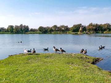Visitor image of lake on the site (added by manager 20 Sep 2022)
