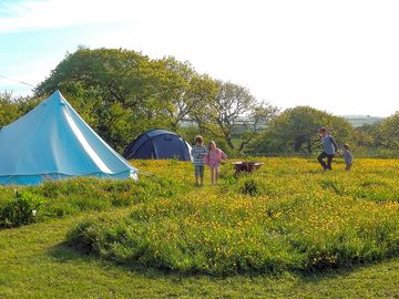 Long grass between pitches (added by manager 13 oct 2022)