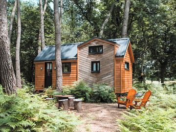 Woodland setting