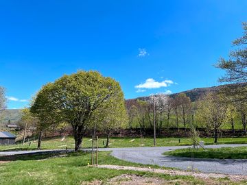 Pitches surrounded by trees