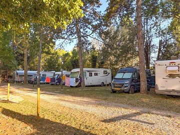 Pitches under the trees