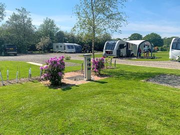 Rhododendrons growing (added by manager 08 sep 2022)