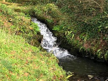 Experience the beauty of the natural scenery throughout the campsite