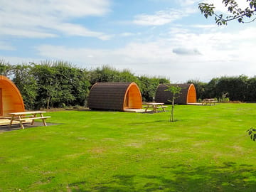 Camping pods on the field (added by manager 02 Sep 2022)