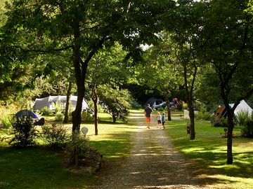 Path through the site (added by manager 21 Jun 2019)