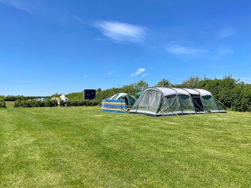 The pitch