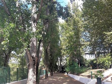 Plenty of greenery