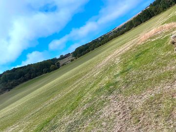 Large, open field