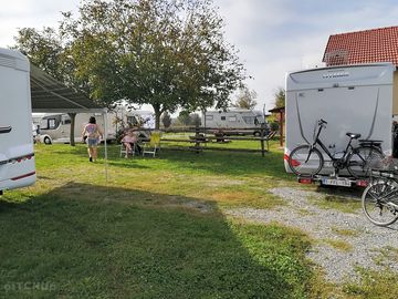 View of the site