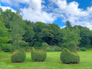 Topiary on site (added by manager 19 Jul 2022)