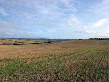 Walks on Whitsbury Downs (added by manager 06 Apr 2021)