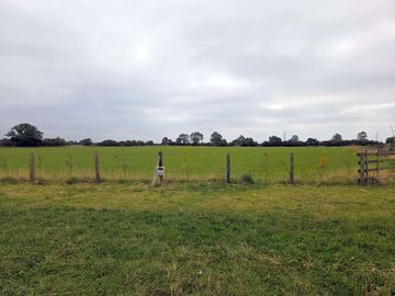 View of the site