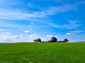 Grassy pitches (added by manager 21 Jun 2023)