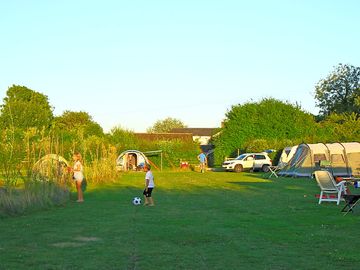 Enjoying the evening sunshine - view across the site towards the shower block and facilities (added by manager 06 Dec 2016)