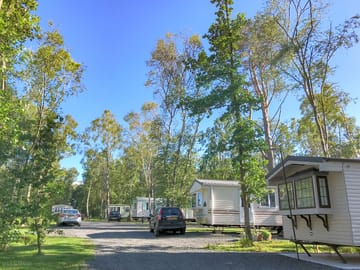 Static caravans in the woods (added by manager 05 Sep 2022)