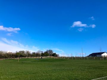 Grass pitches