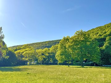 Meadow for relaxing
